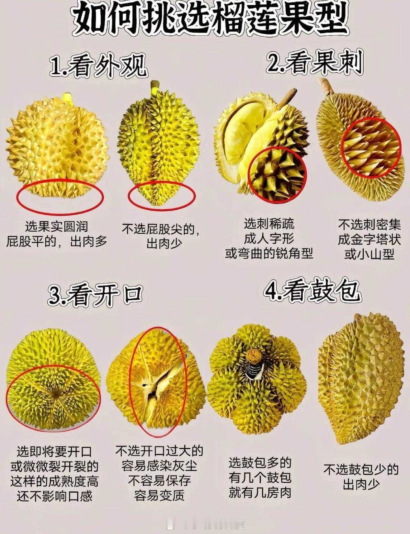 我不买开口榴莲的原因 我从来不买大开口的榴莲，主要是太不卫生也不好吃。大开口榴莲