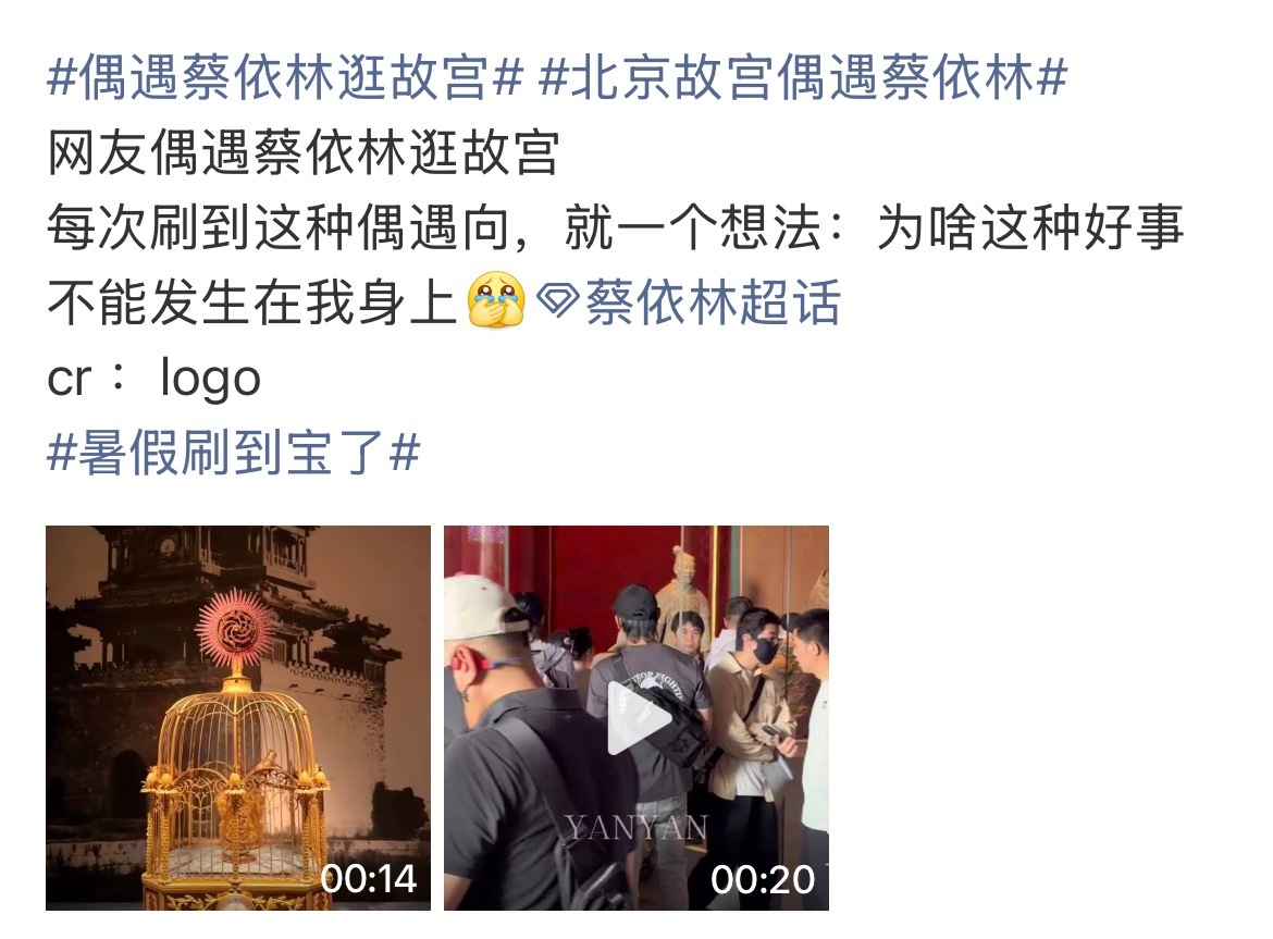 偶遇蔡依林逛故宫北京故宫偶遇蔡依林都说了这种事发发朋友圈就好了拿出来只会让这个世