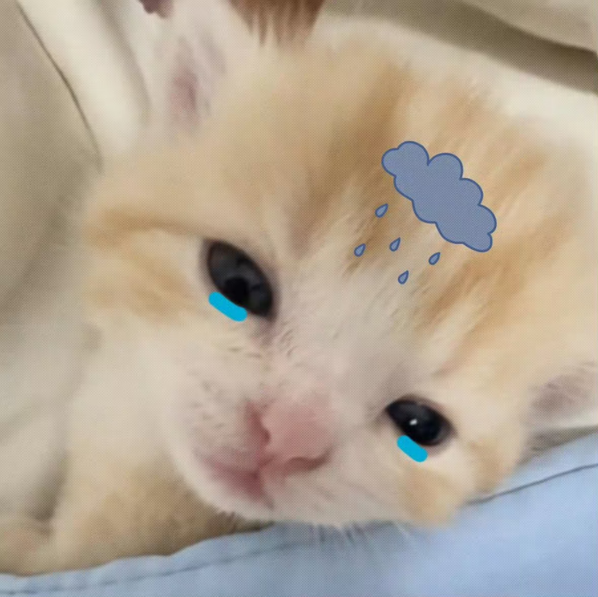我也想我们逆爱有一个好的收官 有一个好的一周年 我讨厌你们 ​​​