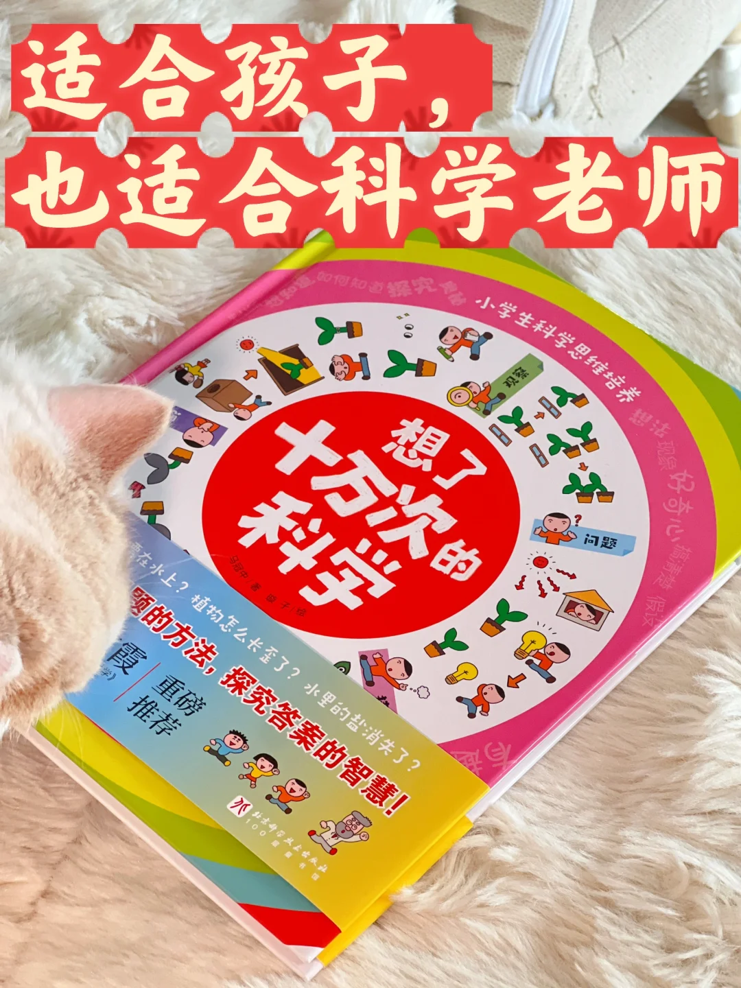 我愿称之为科学课“锦囊”