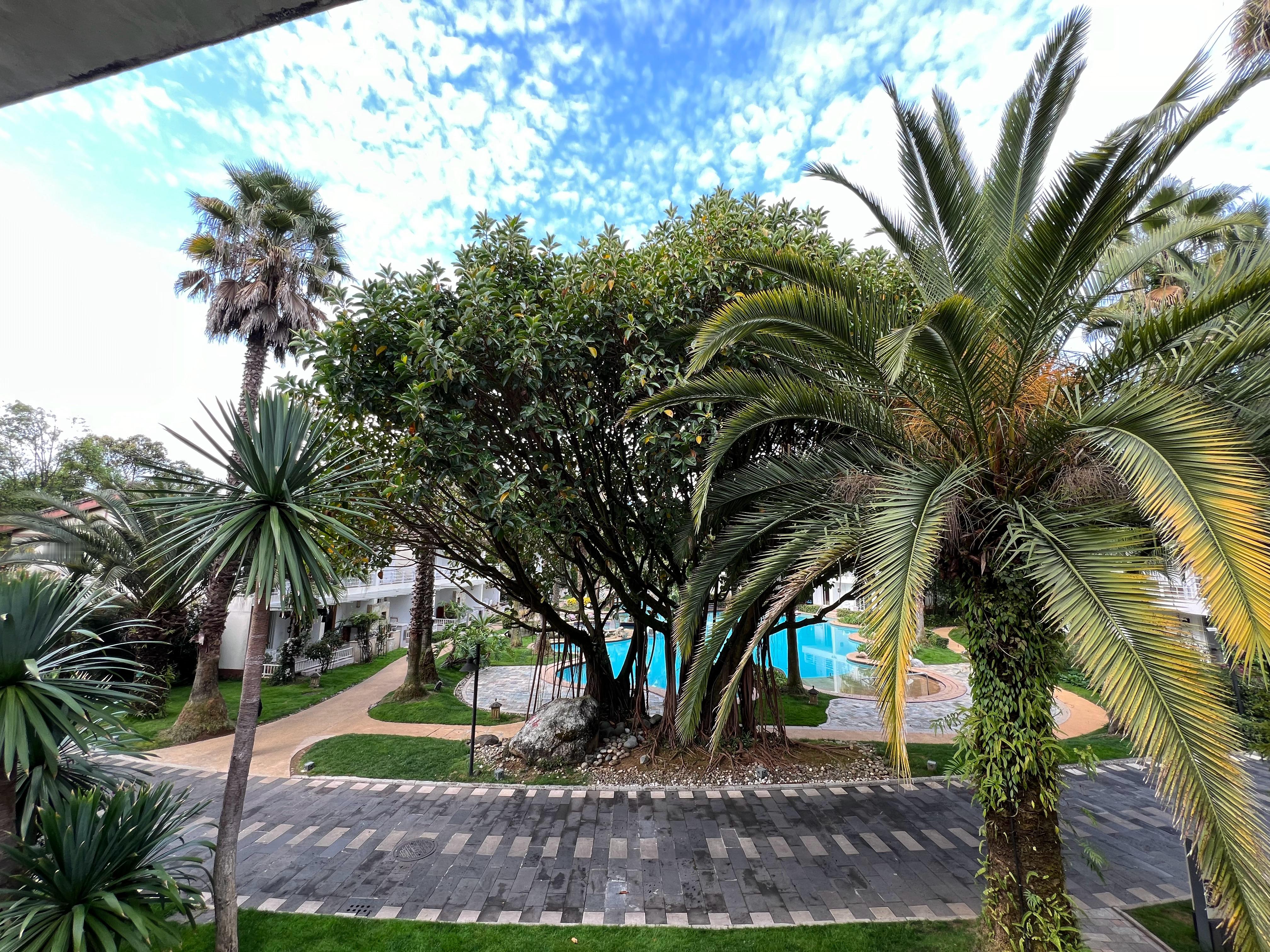 Morning柴斯基的早安图