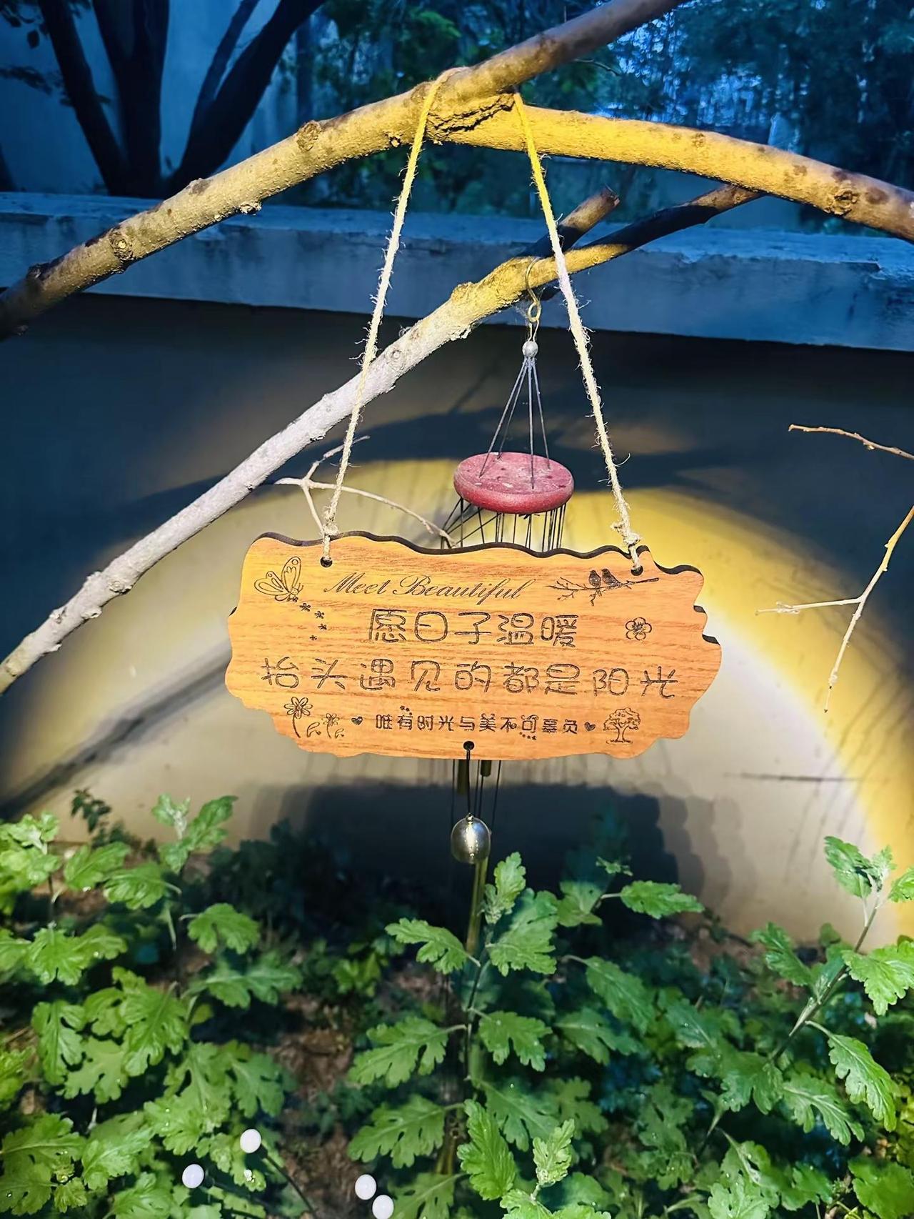 晚上又下雨了，没法出去遛狗，带着百万在院子的遮阳伞底下坐了一会。想安装两个墙壁射