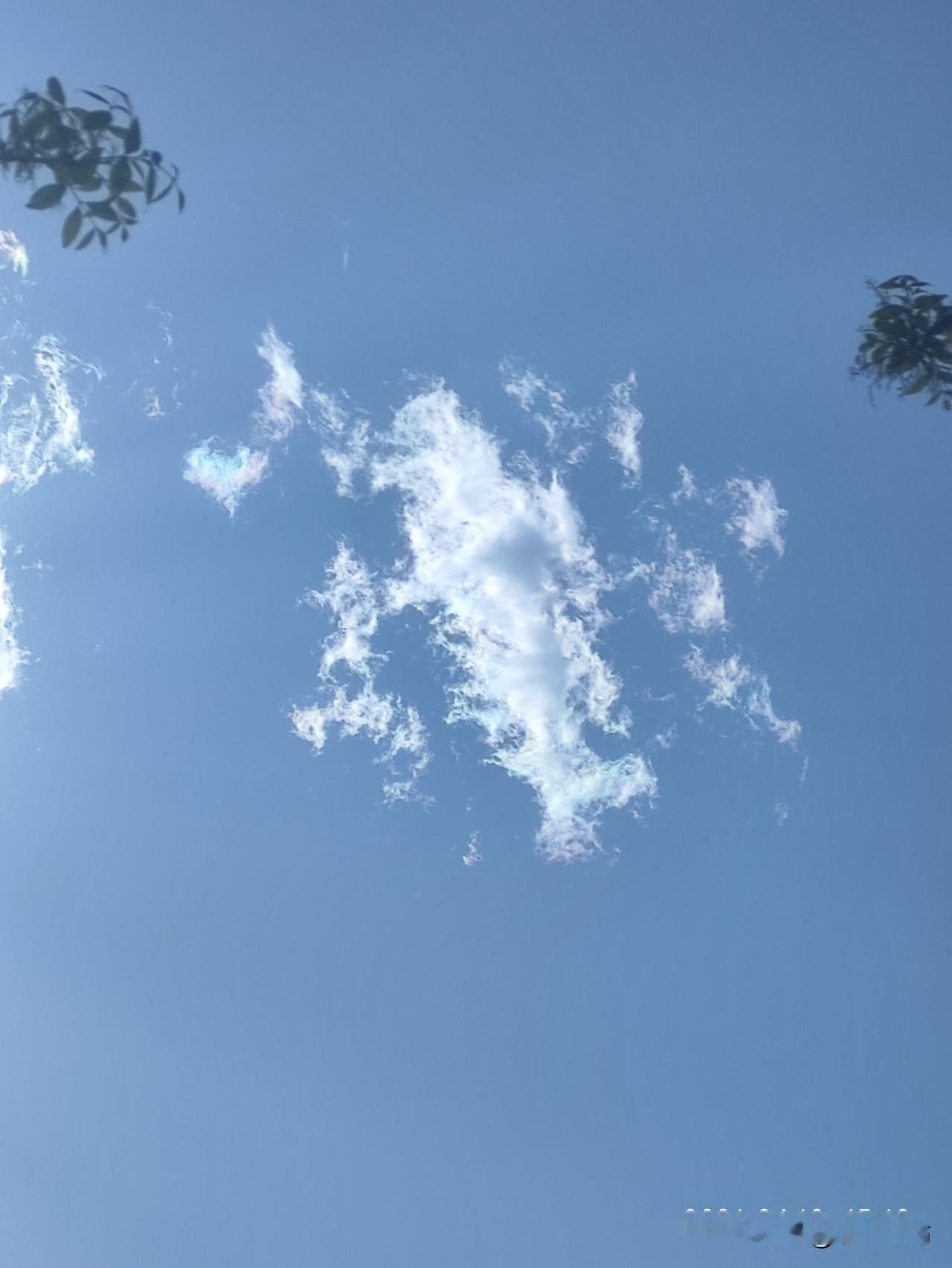 京今日中午晴空：风里藏着春末的温柔，拍个照片留下记忆。
今天的北京，是被蓝天和白