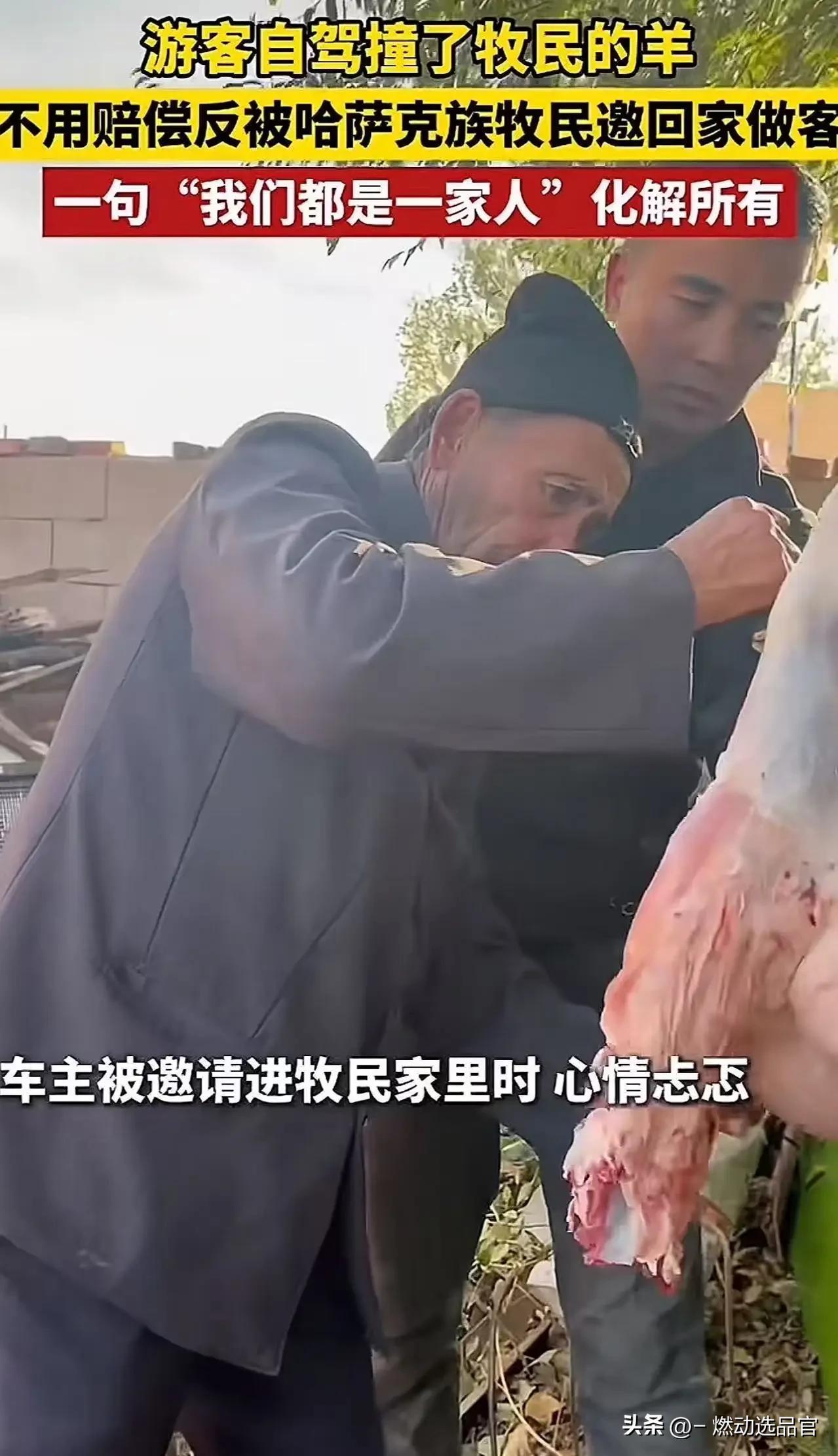 新疆阿勒泰icon，女子自驾游不小心撞上了一位牧民家的羊，羊腿骨折，救不活了。女