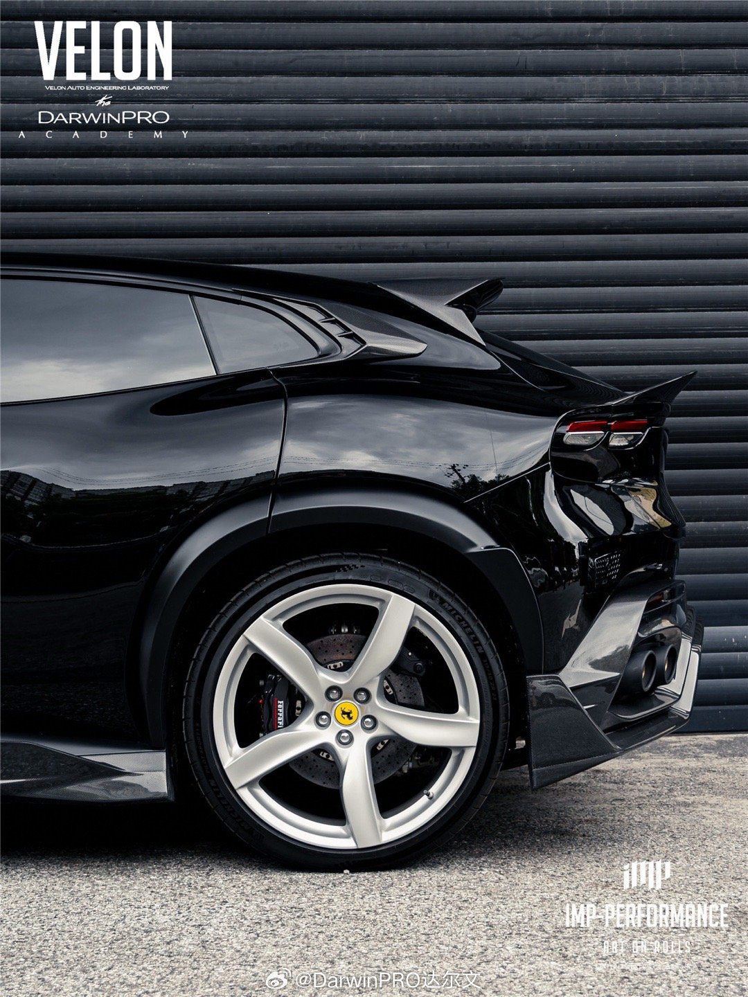 iMP® | DarwinPRO悦珑会FERRARI 🇮🇹 Purosang