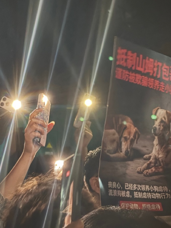 务必严惩 今天虐动物 明天呢  这种人心理变态 希望能够借此次事件推动动物保护法