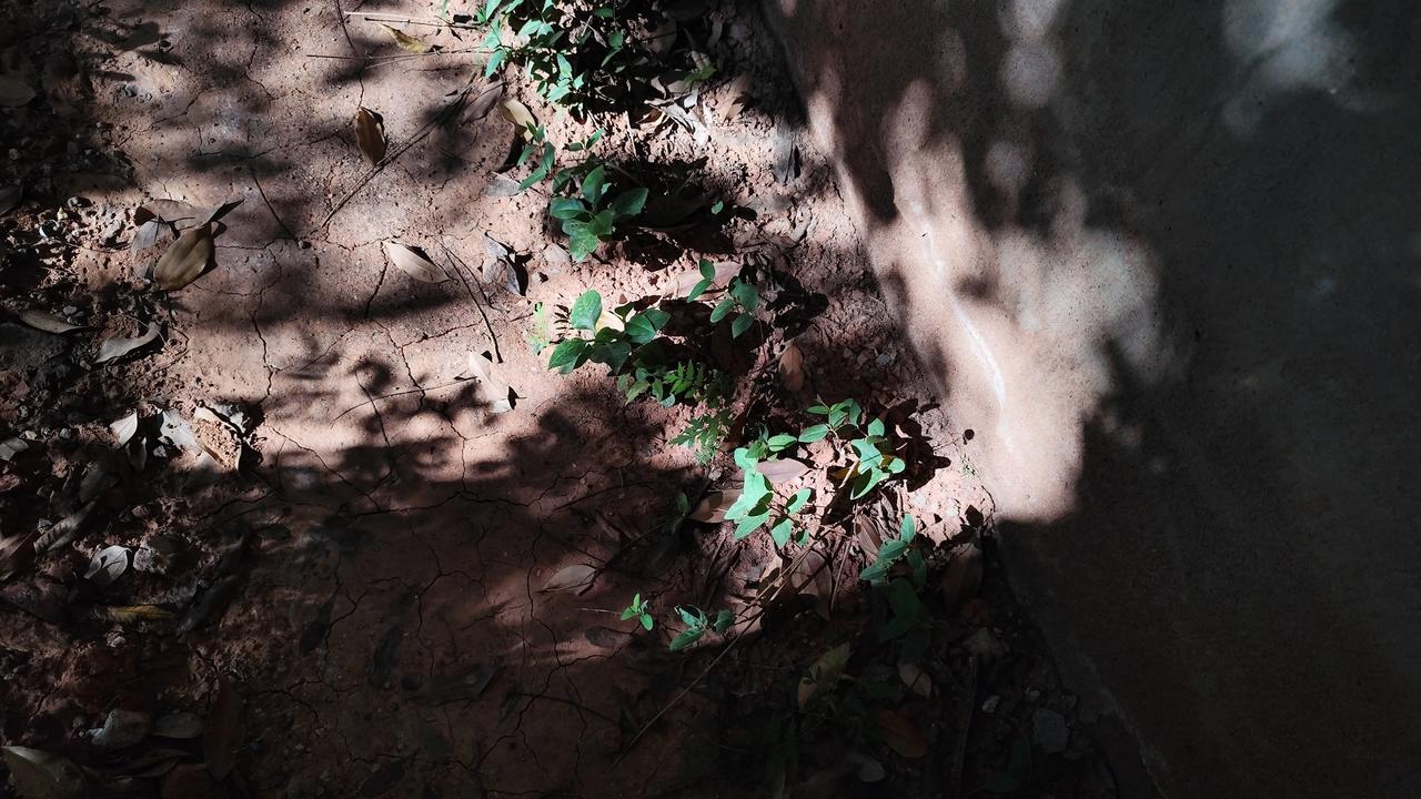 夏日生活打卡季光影之美自然风景图片分享