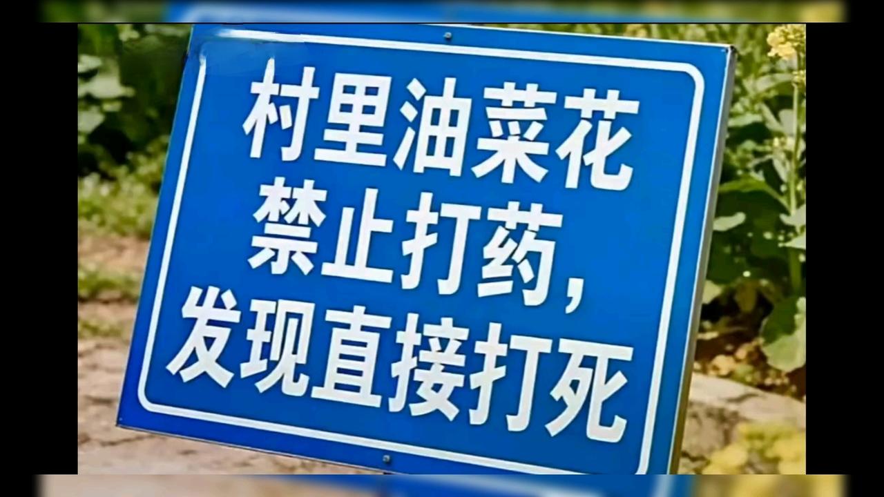 油菜花花期打药，以前从来没有过，是谁出钱安排的免费打药呢？而且夜间偷偷的进行，害