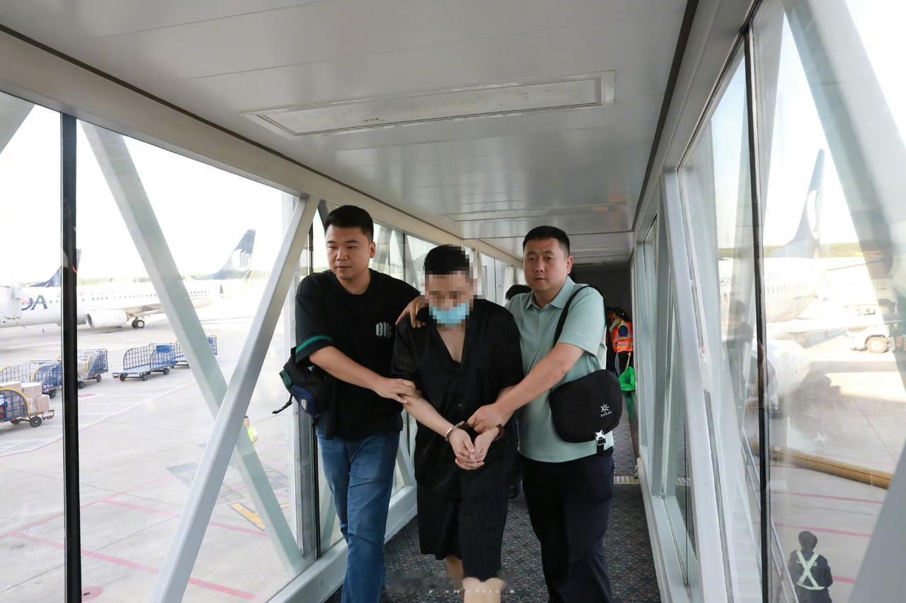 【山东：潘某君被押解回国】
    破坏计算机信息系统案首犯潘某君已从越南被押解