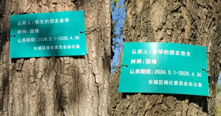 网友喊话余华“地坛公园的树该续费了”，余华懵了：我不知道这事儿