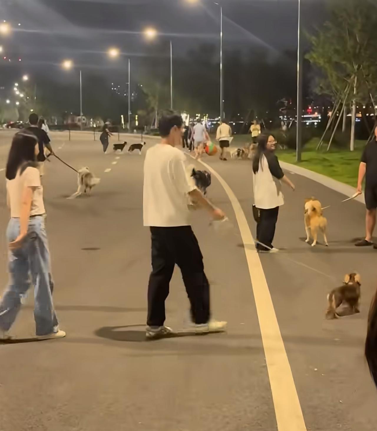 建议对养狗行为征税，这个事合理吗？

真心建议对养狗行为征税，这是为了平衡养狗群