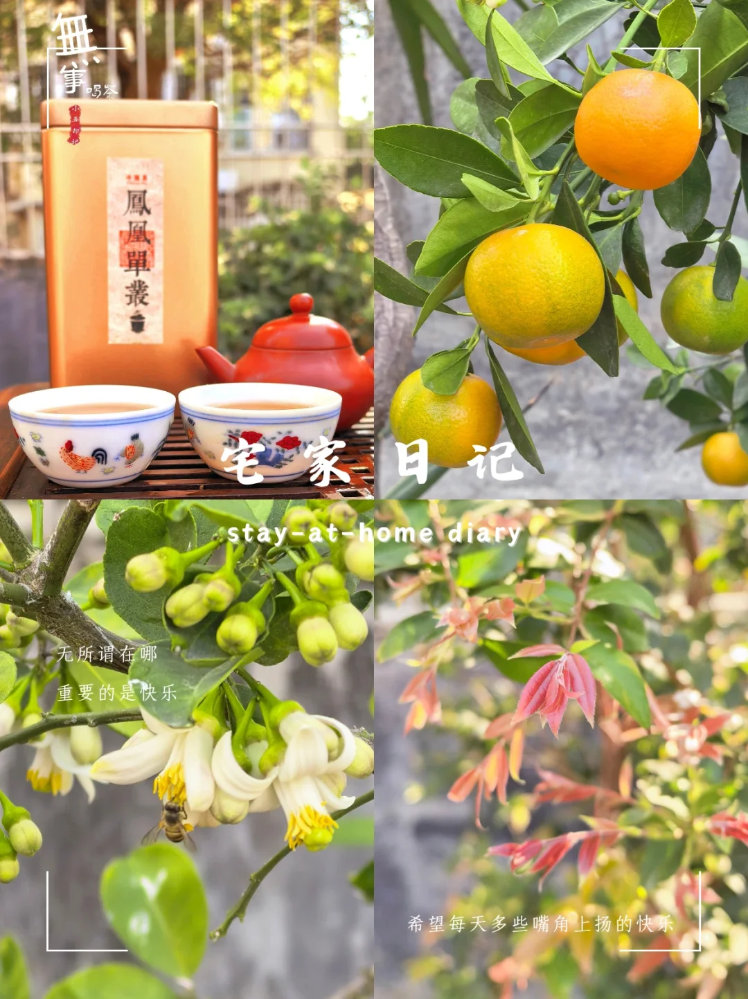爱你老几｜宅家喝茶的快乐