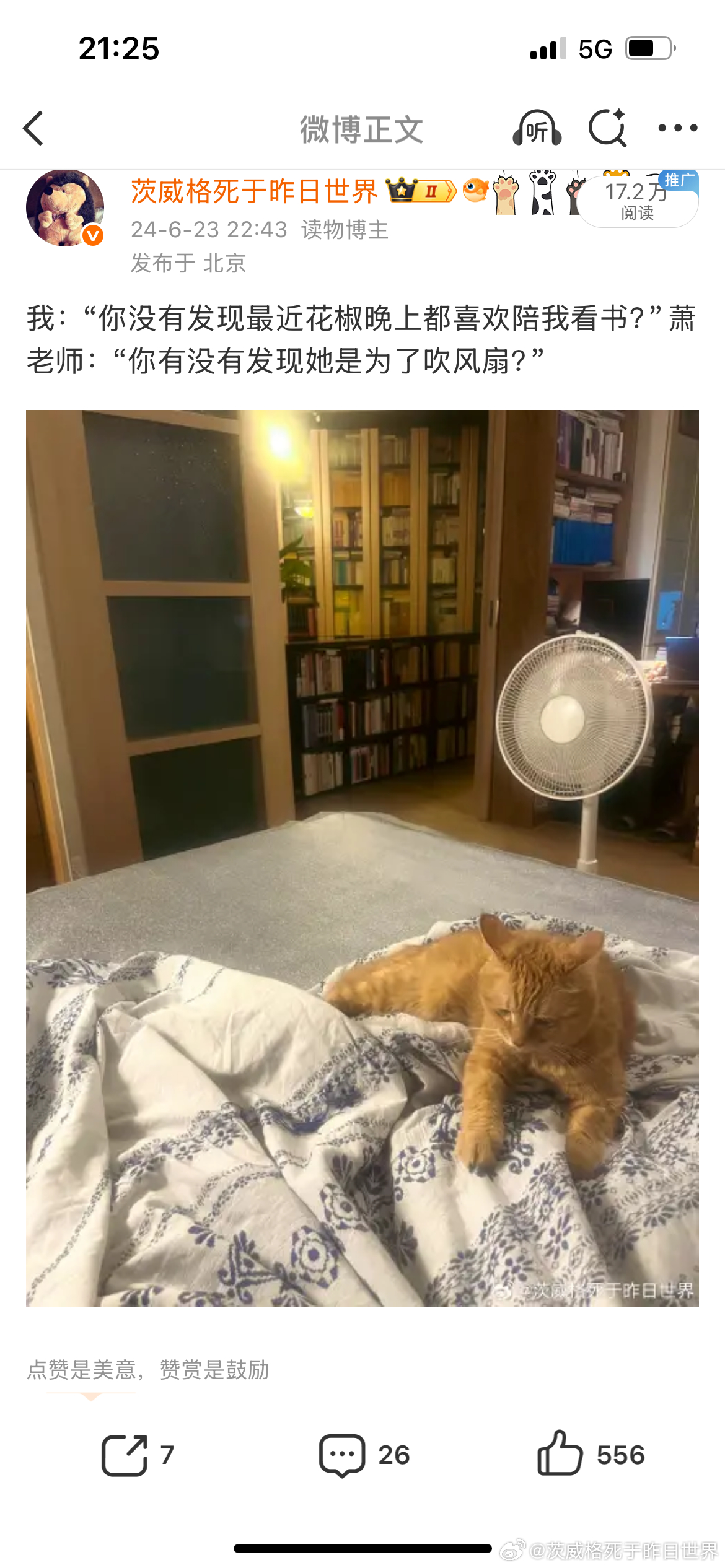 花椒每晚陪我看书的季节又到了， 