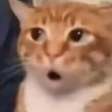 他都多大了有谈恋爱的话也很正常吧，而且人走的不是实力挂吗