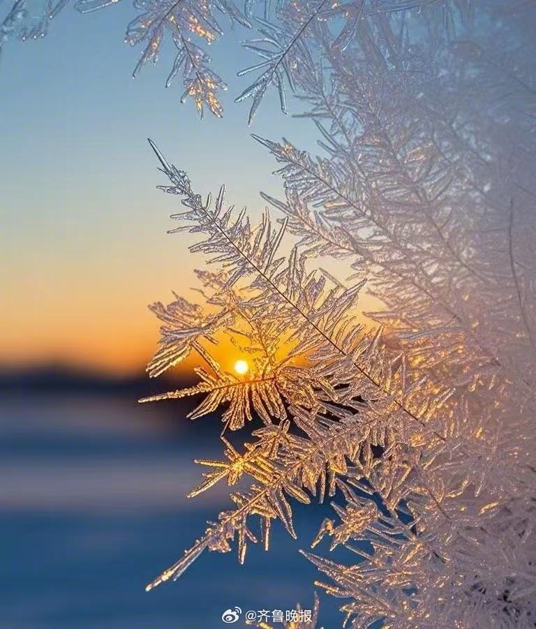 今天也是宇宙独一无二的馈赠，请签收。#早安#