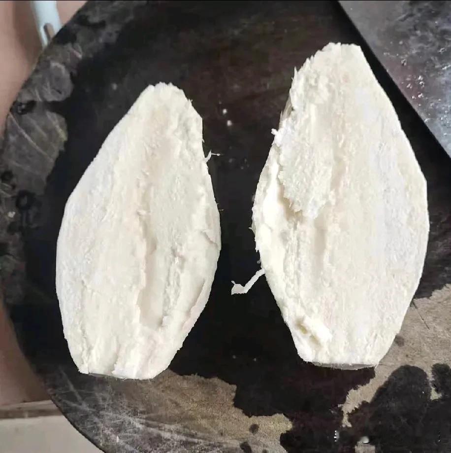 藤县归乡记：挖葛根的温馨时光

2025年春节前夕，我回到了藤县故乡。久别重逢，