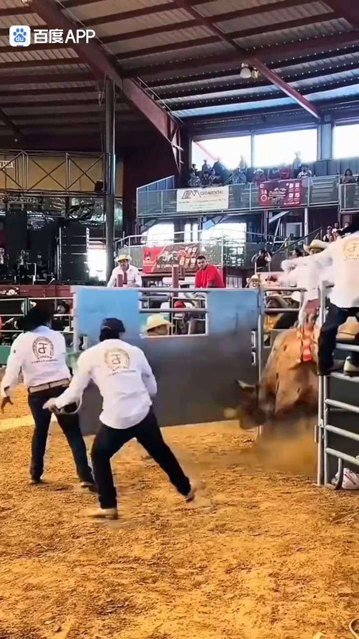 哦哦，哦哦，哦。