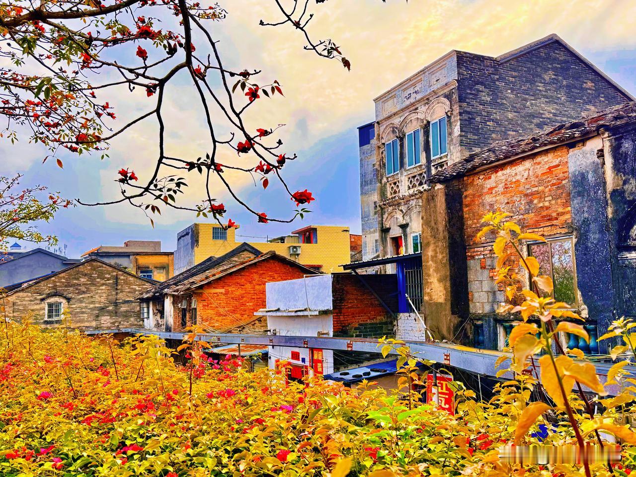 【钦州老街红棉花】：红棉花以云霞般的赤热，整朵整朵地坠落，融入屋檐下升腾的温热人