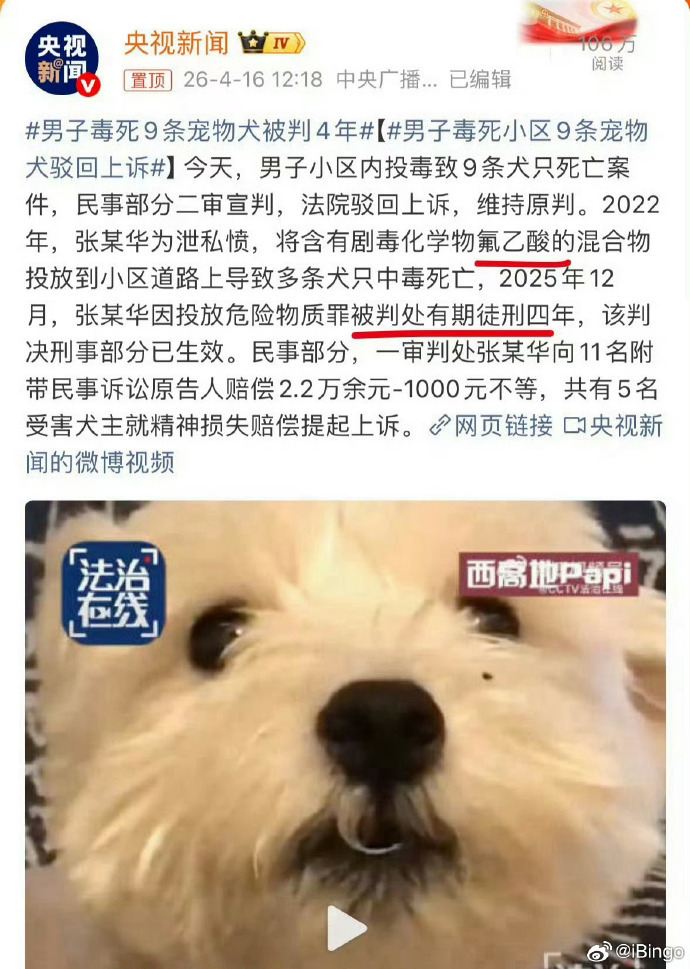 主人解开狗绳2只狗将路人撕咬致死【狗主嫌狗打闹解开狗绳 两只比特犬将路人撕咬致死