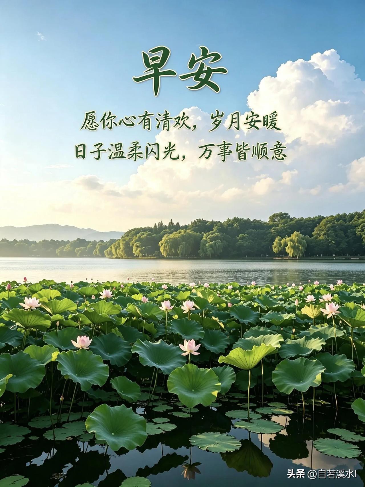 清晨安康，愿所得皆所期，生活处处有温柔。