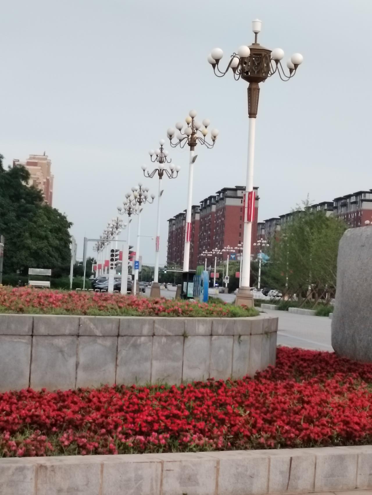 广场一角，鲜花盛开，香味扑鼻，空气是真好啊！
