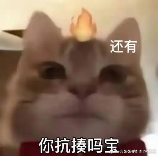 韩国40岁导演遭围殴致死引众怒“法院以住所固定、无灭证风险驳回，嫌疑人至今未被拘