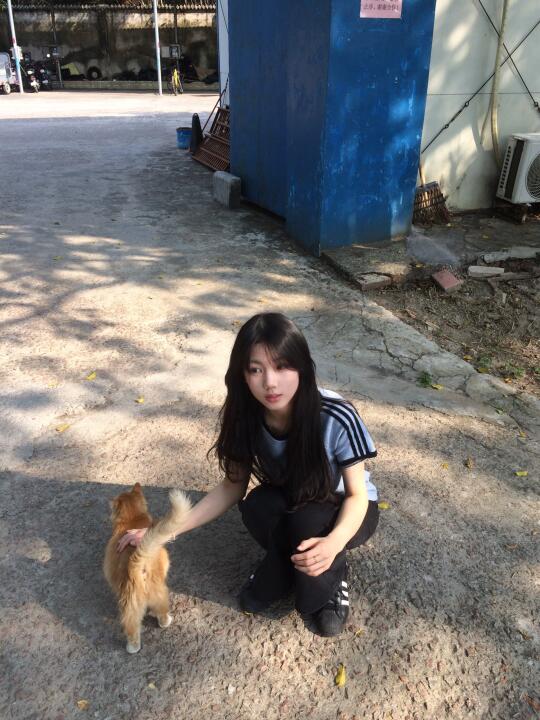 图片里有两只小猫🐈