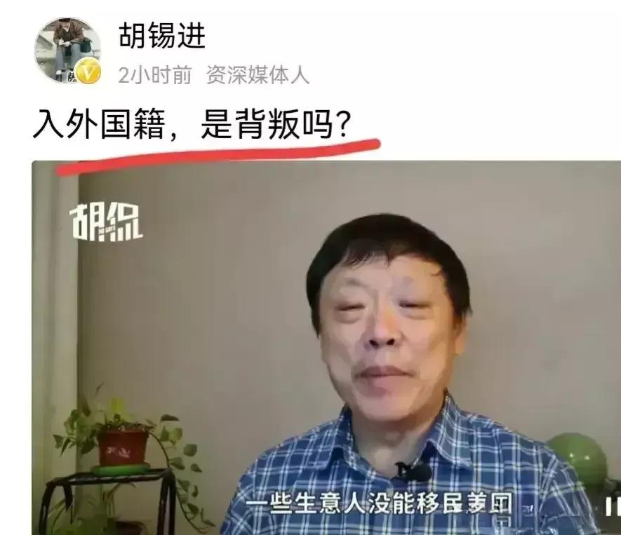 胡锡进真是胡侃，胡说八道。加入外国国籍要进行宣誓效忠这个国家，难道不是背叛吗？