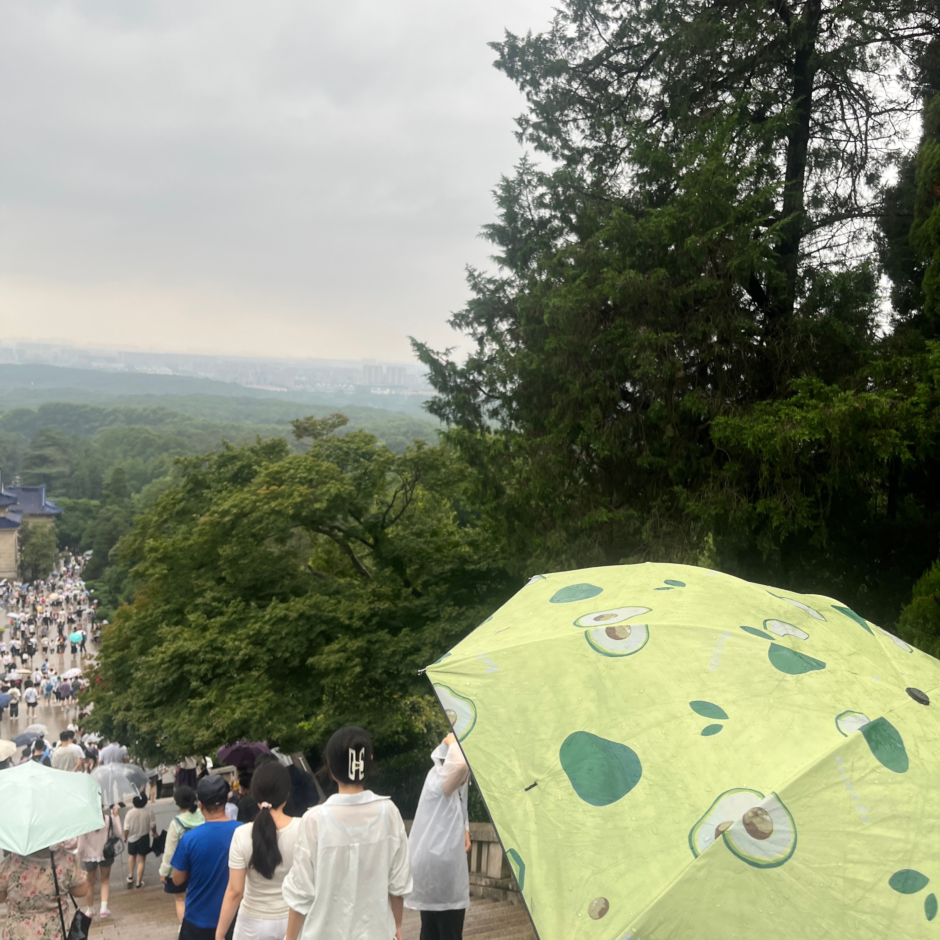 没白来，都没白来，人头是数够了