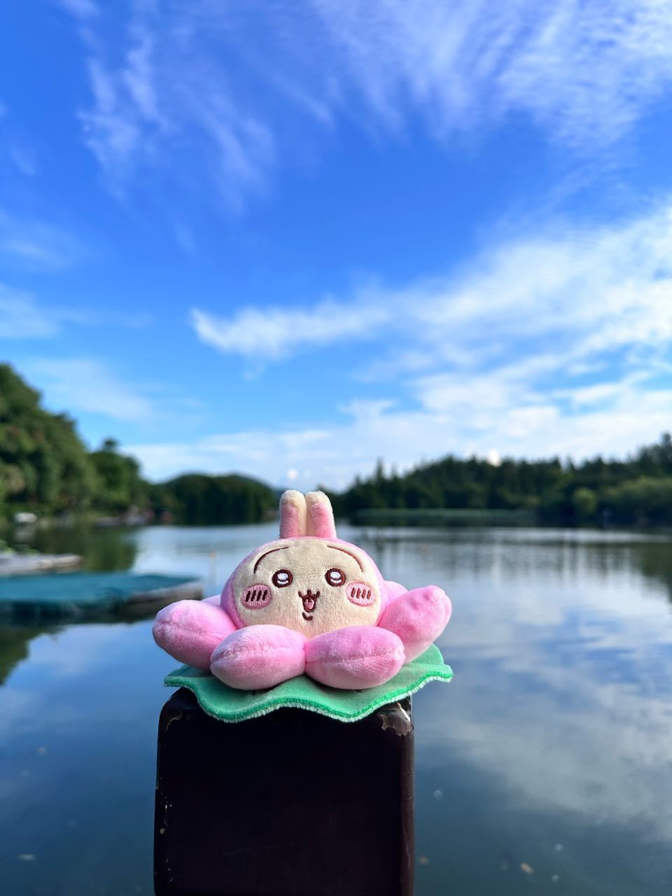 乌之大 一湖装不下 