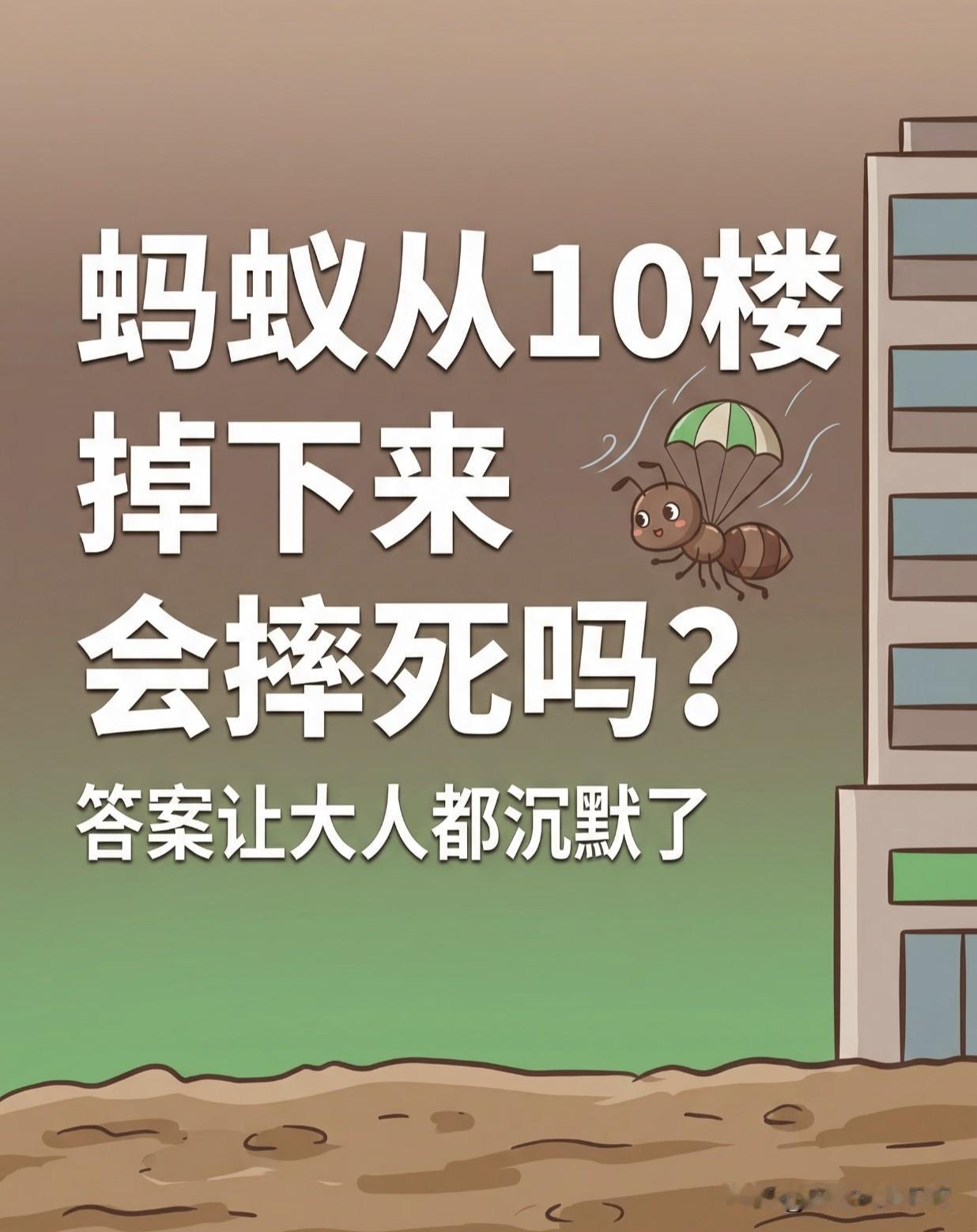 一只蚂蚁从十楼掉下来，会摔死吗？
答案连大人听了都要愣住。
蚂蚁从极高的地方掉落