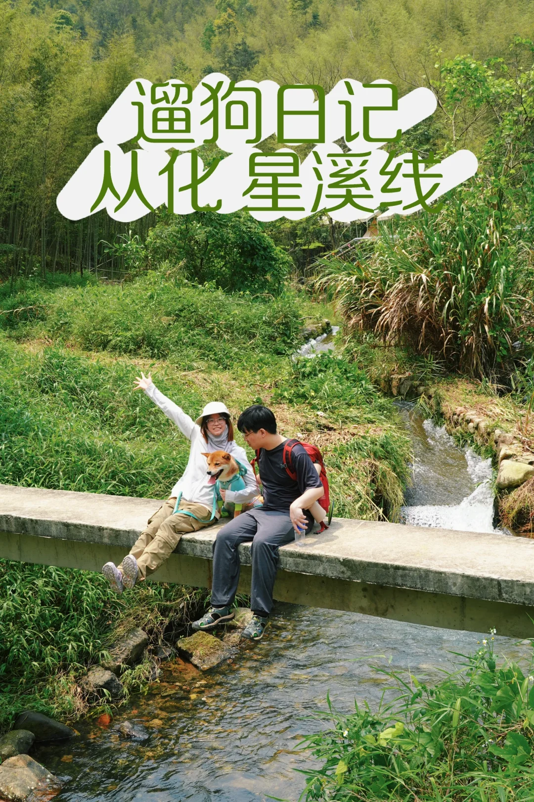 遛狗日记｜广东小狗已经开始溯溪了
