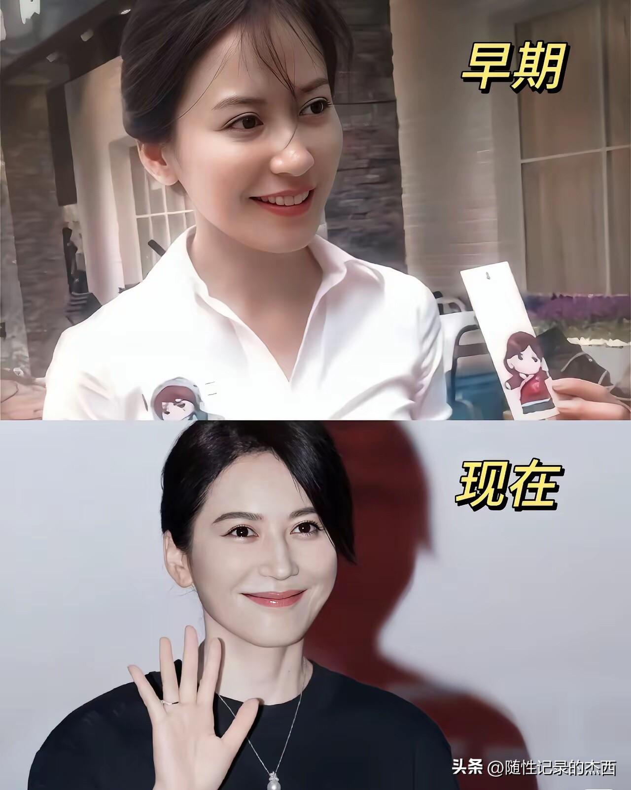 这才是真正的顶级美人，什么高圆圆、左小青来了都没有她有气质。她早期的时候是一种清