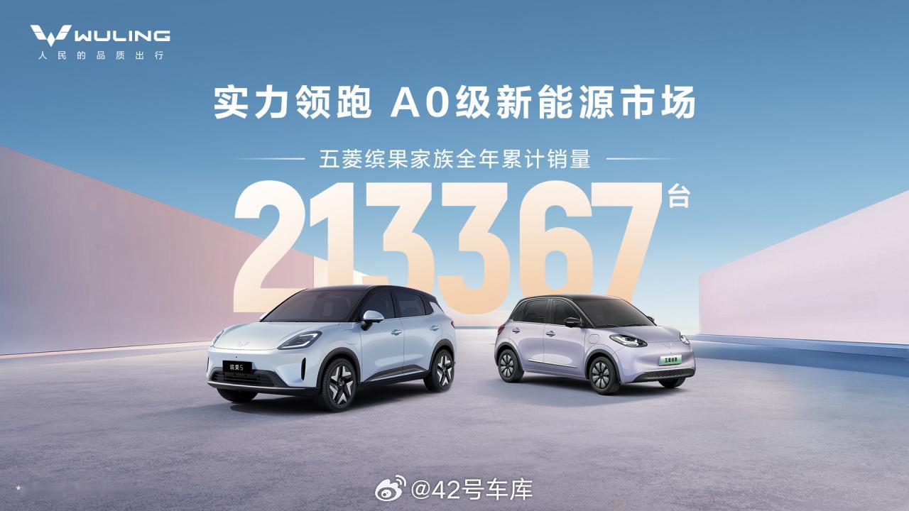 五菱缤果家族 2025 年全年销量有 213,367 辆，上市以来的累计销量有 