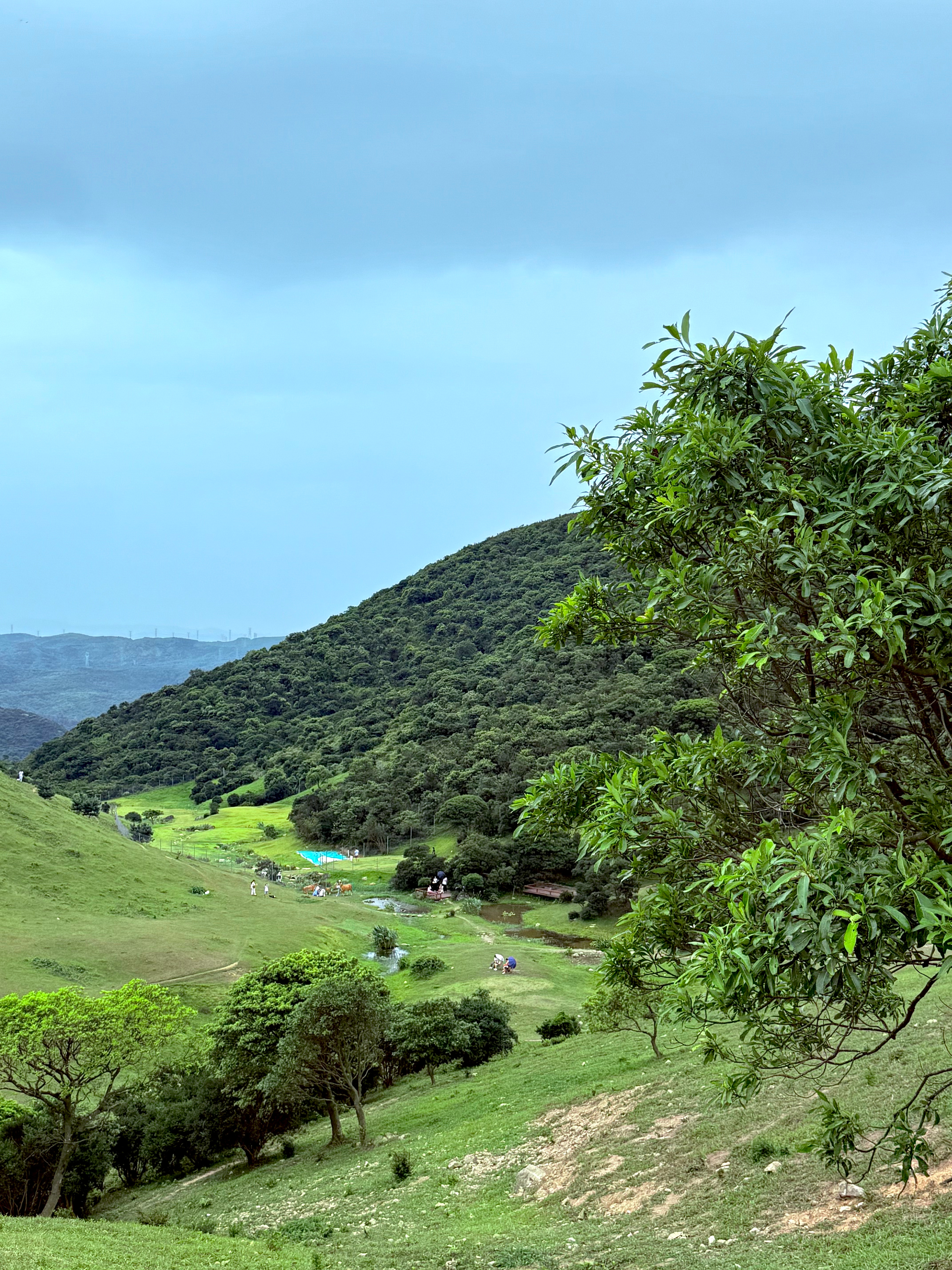 福州大姆山草场台风天到了，凉快，一点点雨，凉爽了一天 