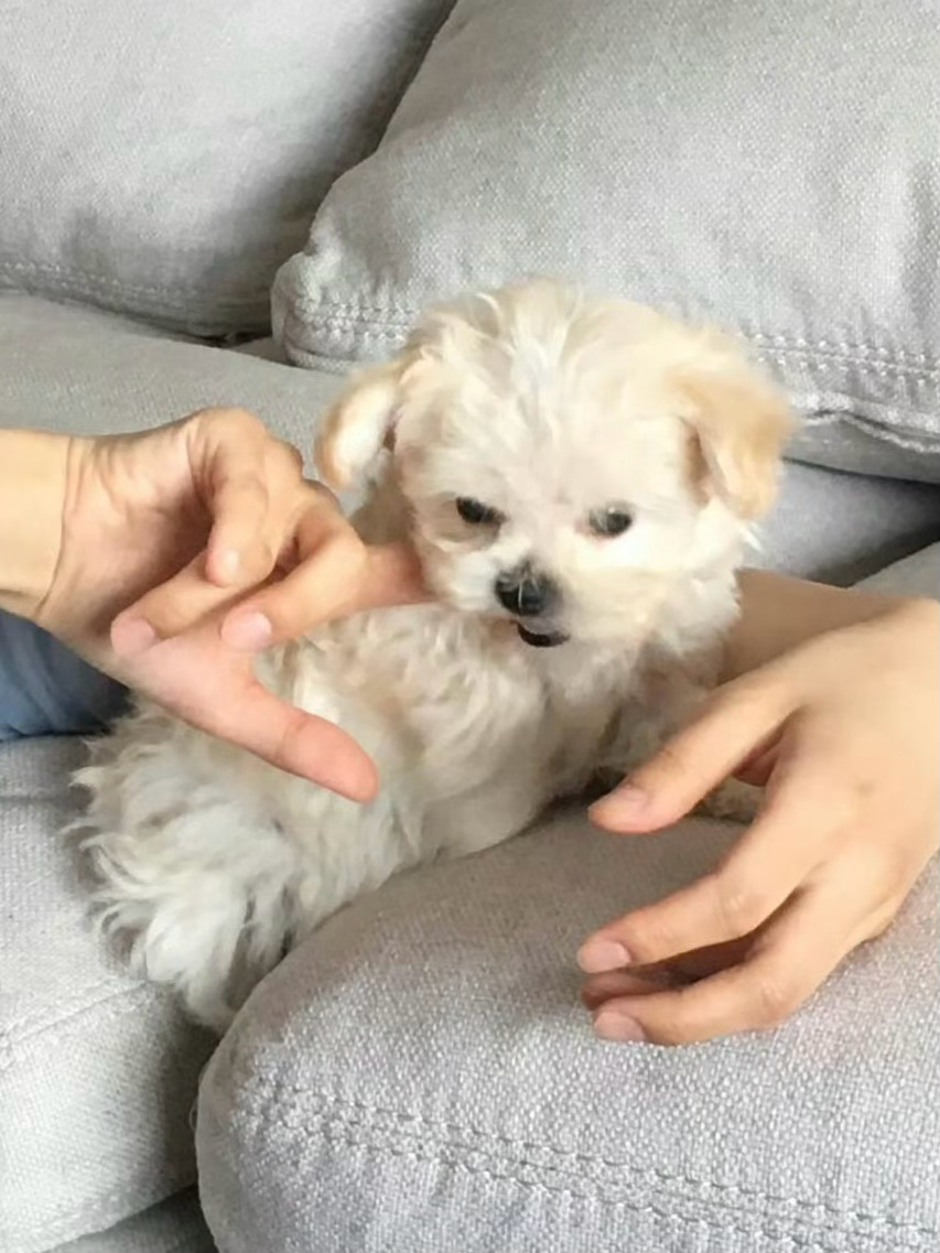 金波妞是魔童来着吧 