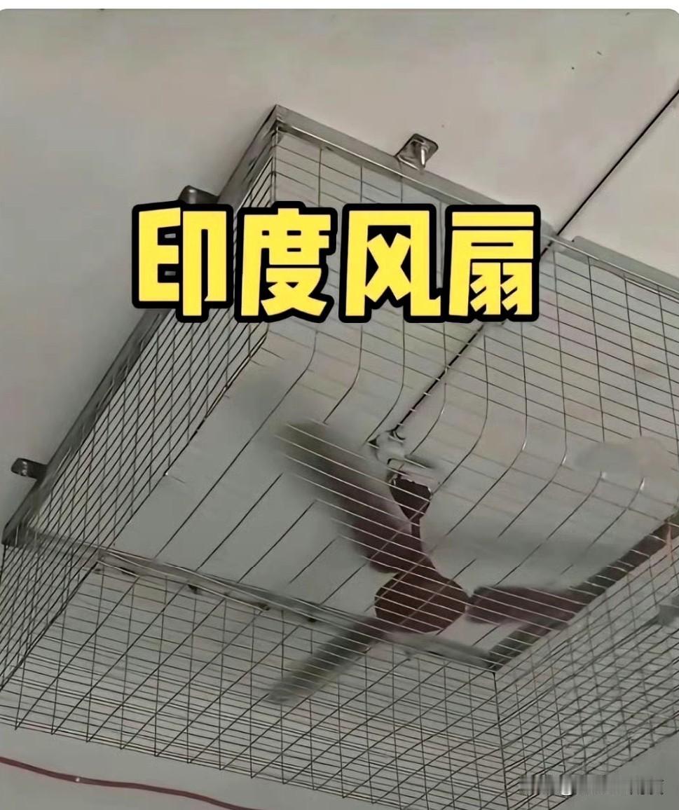 印度新的闻：电风扇防盗！
第一感觉就是，拆防盗罩不是更值钱吗？
一想到印度气温5