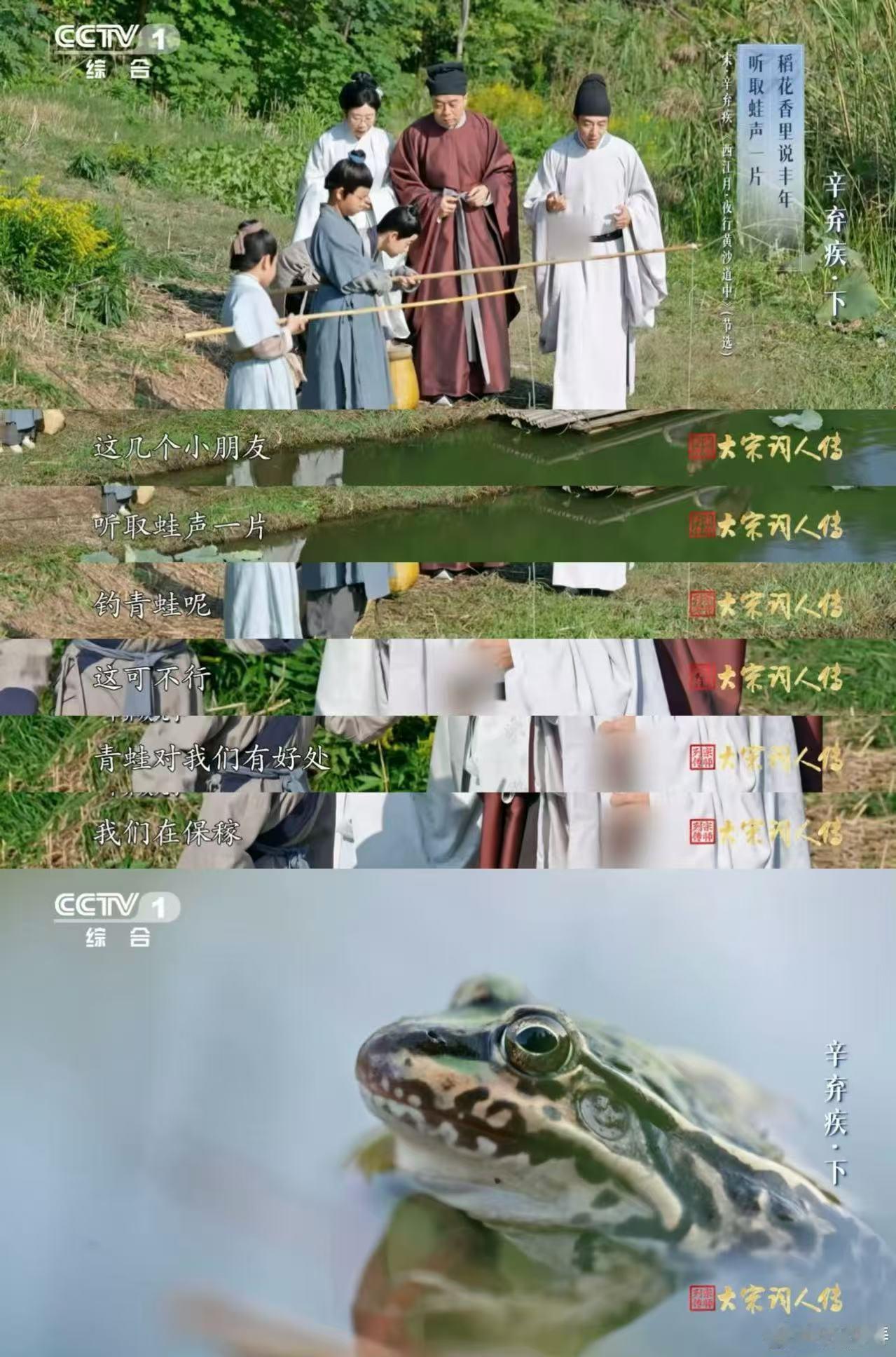 撒贝宁学古人抓青蛙保护庄稼 撒老师录制《大宋词人传》，率先解锁“辛弃疾式”古人技