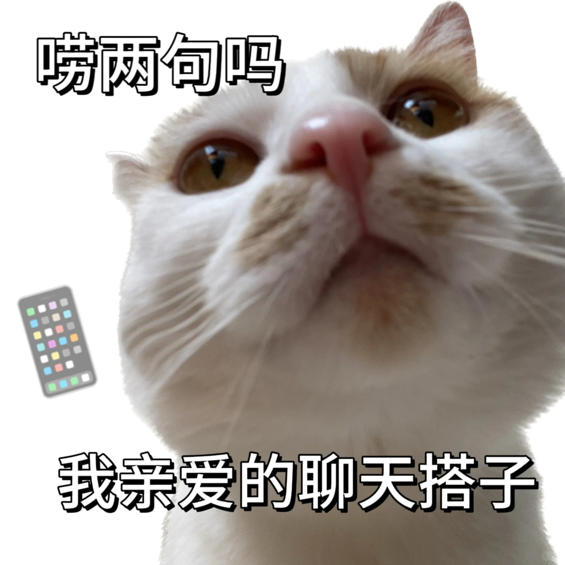 你的搭子拍了拍你并对你发出了摸鱼邀请[doge]#v笑年度大赏# ​ ​​​