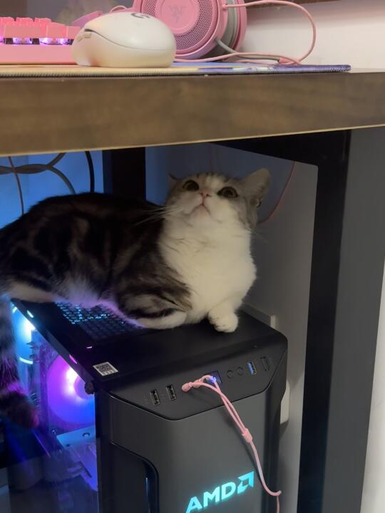 麻麻我肚几被吹得暖暖的