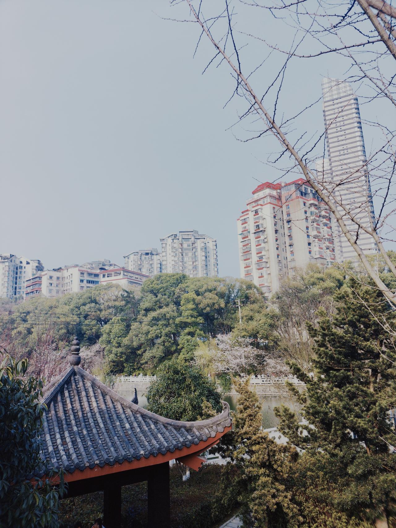 望月公园位于长沙河西，是一座建在西汉长沙王吴芮家族墓群上的公园，因此初名“王陵公