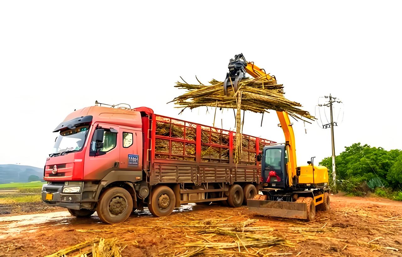 广东一根甘蔗2元钱，本地是30元。这差价怎么这样大？
        在广东，1