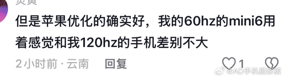 论为什么iPad Mini 仍然敢只给60Hz，原因如图[摊手]都是这种XX用户