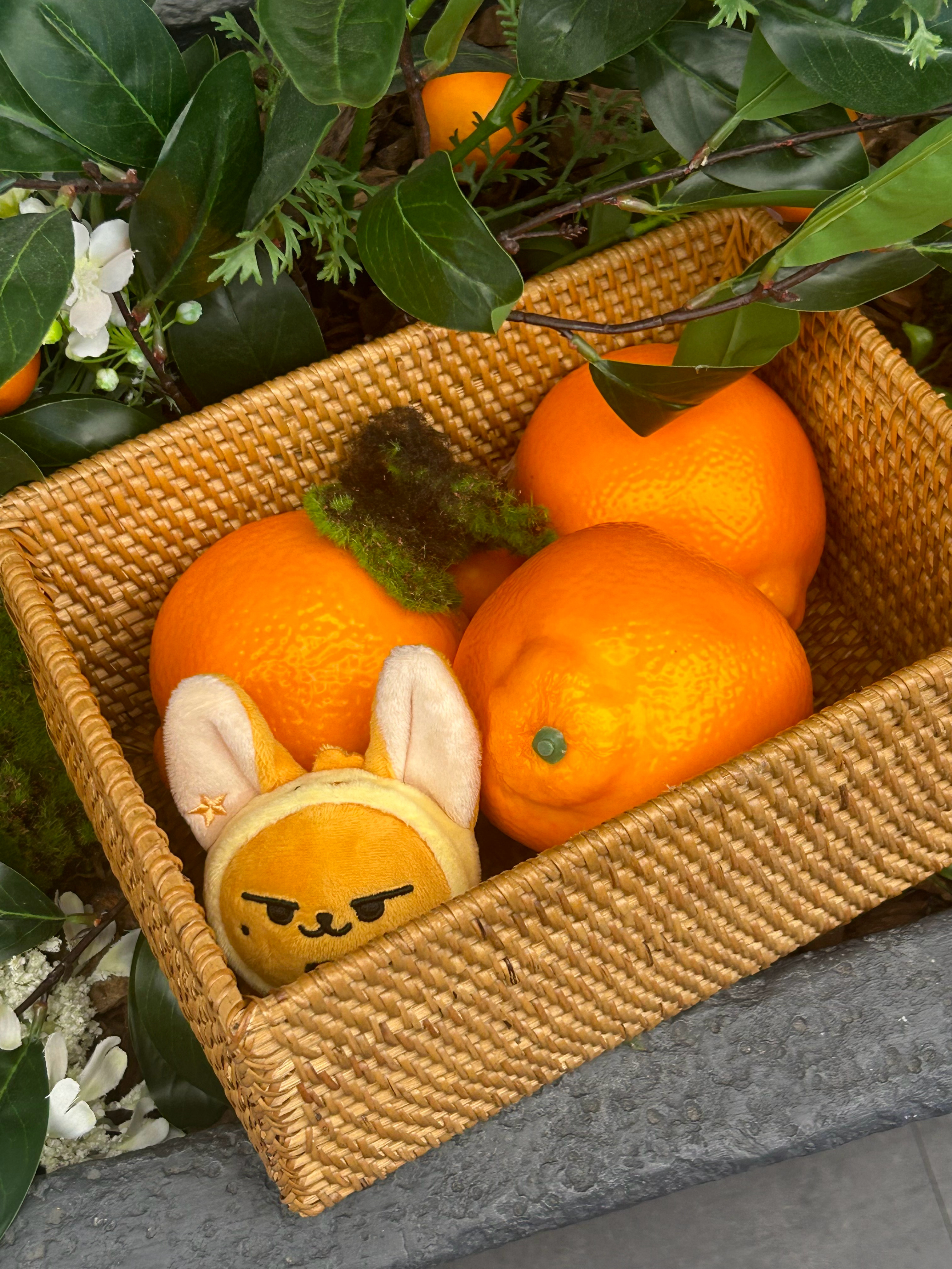宝宝你怎么在这里啊🍊  ​​​