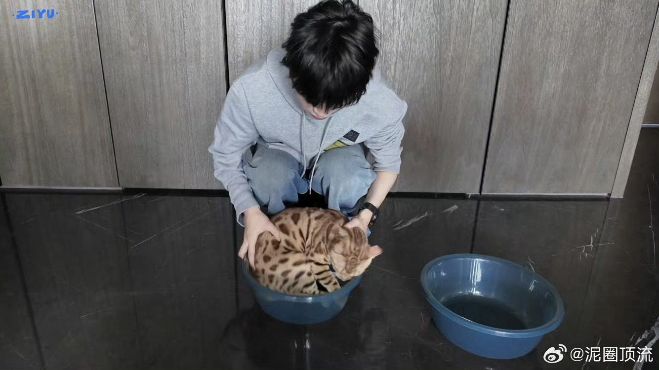 空尼几哇 永远都是这样对待小动物