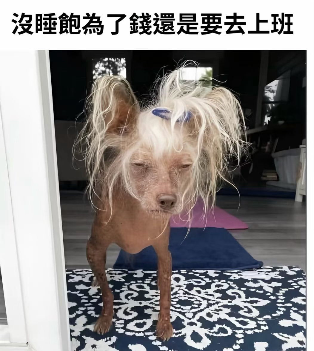 本人 