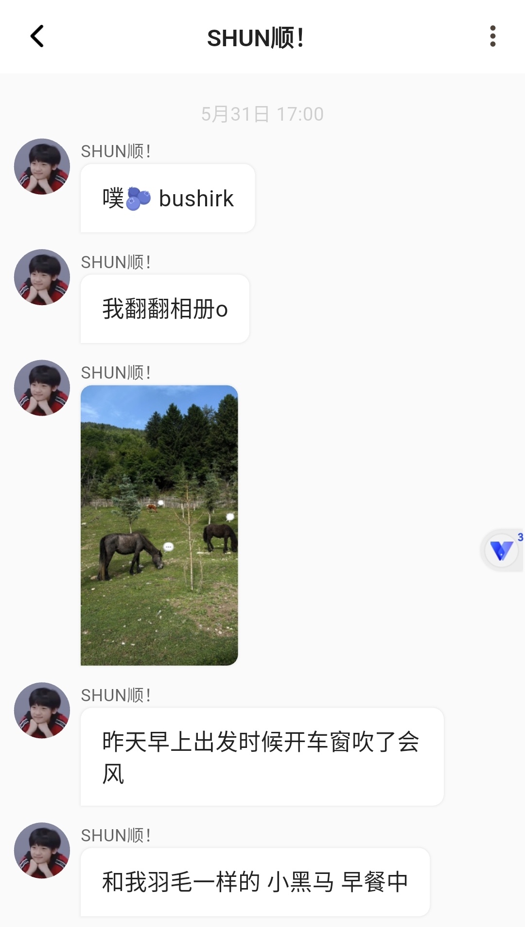 和我羽毛一样的小黑马 哎呀哎呀！ 