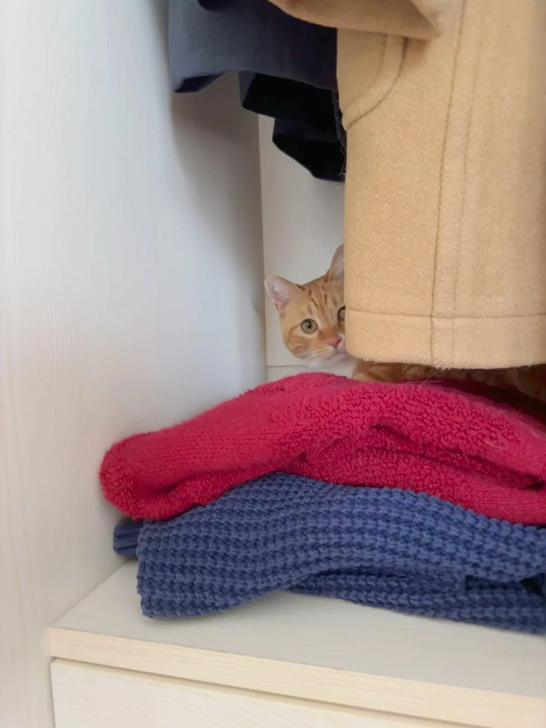 现实版躲猫猫