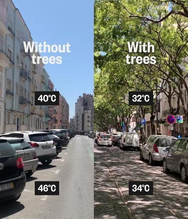 欧洲人既然注重环保，怎么不像中国一样种树？这可是最天然的降温方式。
如果把这个问