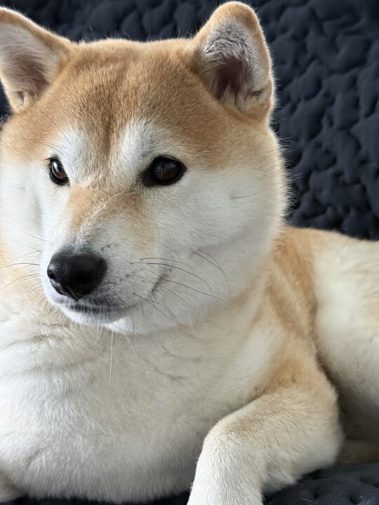 有点暧昧了喔